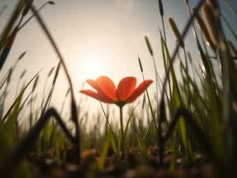 bject-less 1st person perspective, 1-inch ground-level macro shot. The camera is looking forward from inside a miniature world. Strictly two separate, dark, blurry vertical shapes emerge from the far left bottom edge and the far right bottom edge of the frame, leaning inward but with a wide empty gap between them. These shapes are heavily out-of-focus silhouettes of insect antennae. The center of the image is wide open and unobstructed, showing a giant red blooming flower in the distance. Enormous grass blades rise like towers on the sides. High-end macro lens aesthetics, cinematic sun flare, 8k resolution, extreme depth of field, realistic morning mist. No animal body, no insect head, no connected parts at the bottom.